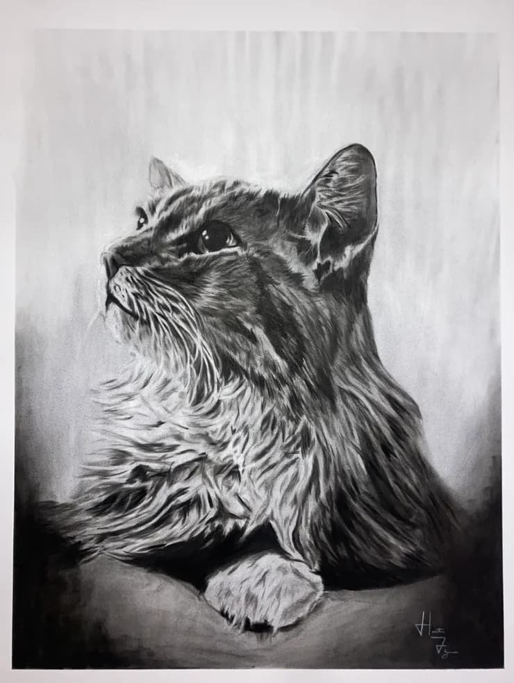 Hunter Flynn charcoal drawing 5